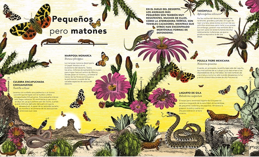 Coffee table books. El jardín de las maravillas