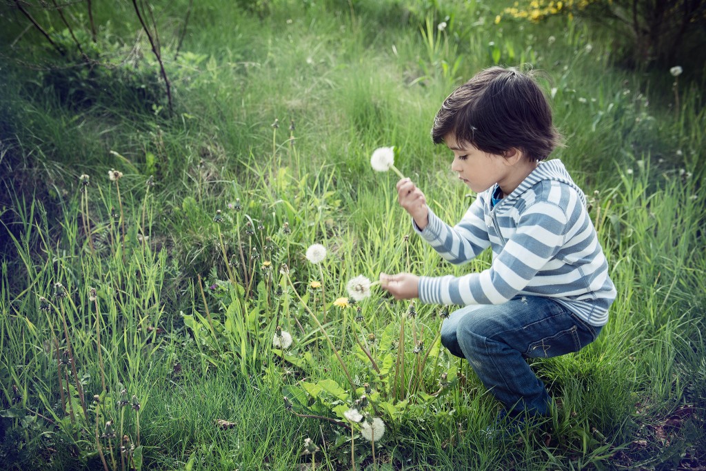 Educación emocional en la Naturaleza