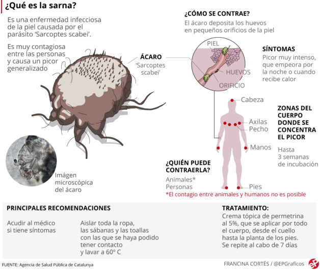 Sarna humana. Síntomas y tratamiento