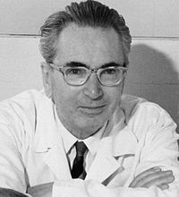 Viktor Emil Frankl (26 de marzo de 1905 - 2 de septiembre de 1997) fue un neurólogo y psiquiatra austriaco, fundador de la logoterapia. Sobrevivió desde 1942 hasta 1945 en varios campos de concentración nazis, incluidos Auschwitz y Dachau. A partir de esa experiencia, escribió el libro 'El hombre en busca de sentido'. Viktor Emil Frankl (26 de marzo de 1905 - 2 de septiembre de 1997) fue un neurólogo y psiquiatra austriaco, fundador de la logoterapia. Sobrevivió desde 1942 hasta 1945 en varios campos de concentración nazis, incluidos Auschwitz y Dachau. A partir de esa experiencia, escribió el libro 'El hombre en busca de sentido'.