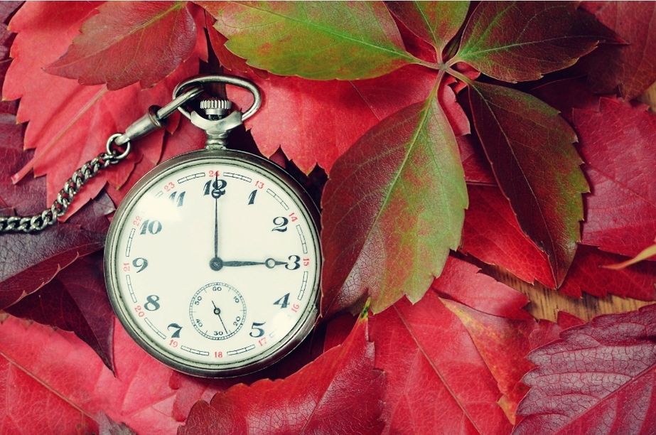 Luz de tarde en otoño con reloj de bolsillo