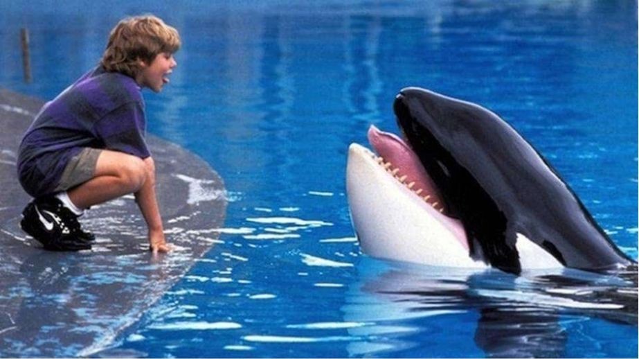Liberad a Willy 1993 película niños valores animales