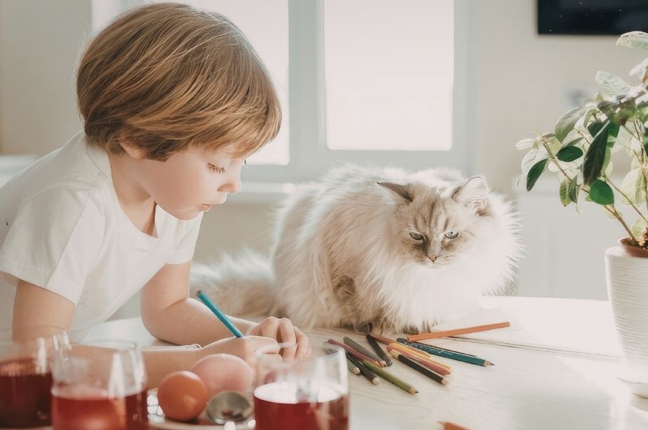 niño dibujando y coloreando mandalas en casa