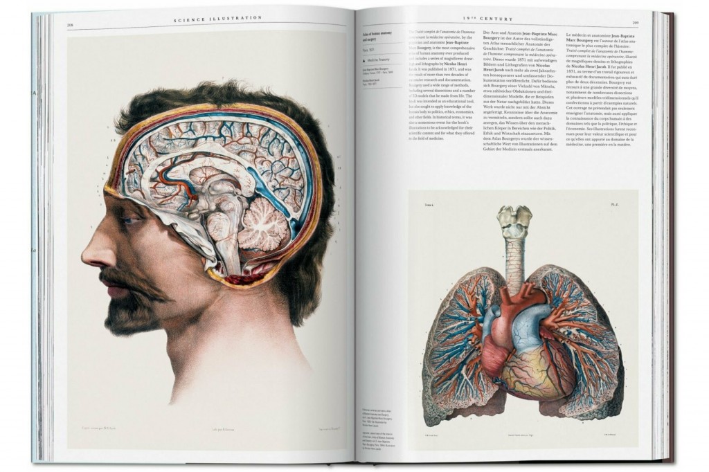 Ilustración científica | Libro de gran formato