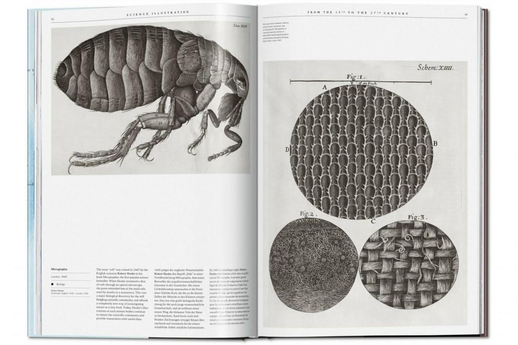 Ilustración científica | Libro de gran formato