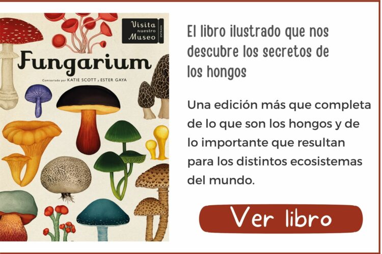 Fungarium | A partir de 8 años | 80 páginas
