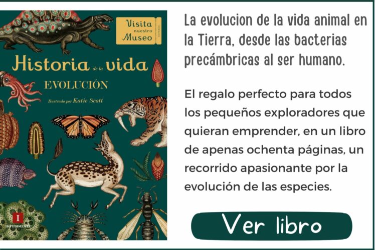 Historia de la vida | A partir de 8 años | 80 páginas