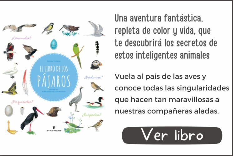 El libro de los pájaros | A partir de 7 años | 78 páginas