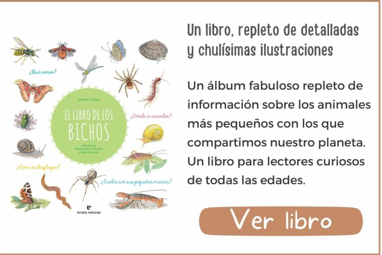 El libro de los bichos | A partir de 7 años | 78 páginas