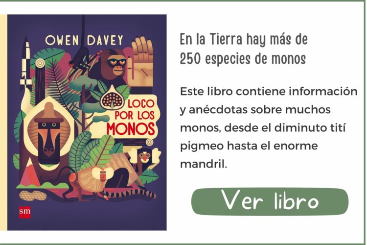Loco por los monos | A partir de 6 años | 40 páginas