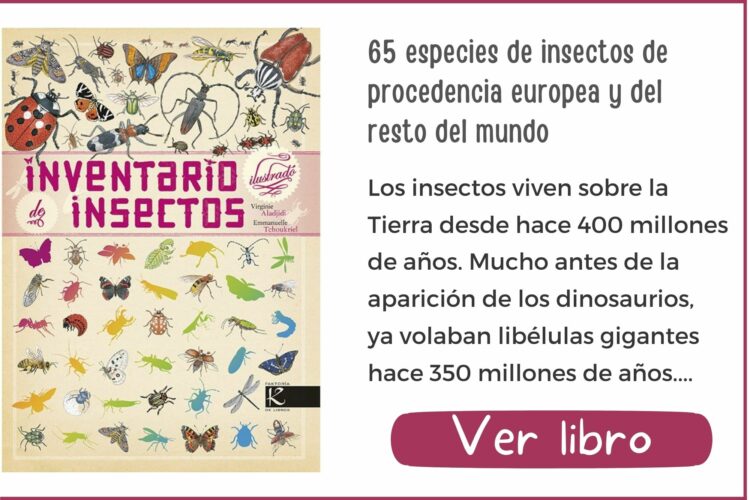 Inventario ilustrado de insectos | A partir de 6 años | 48 páginas