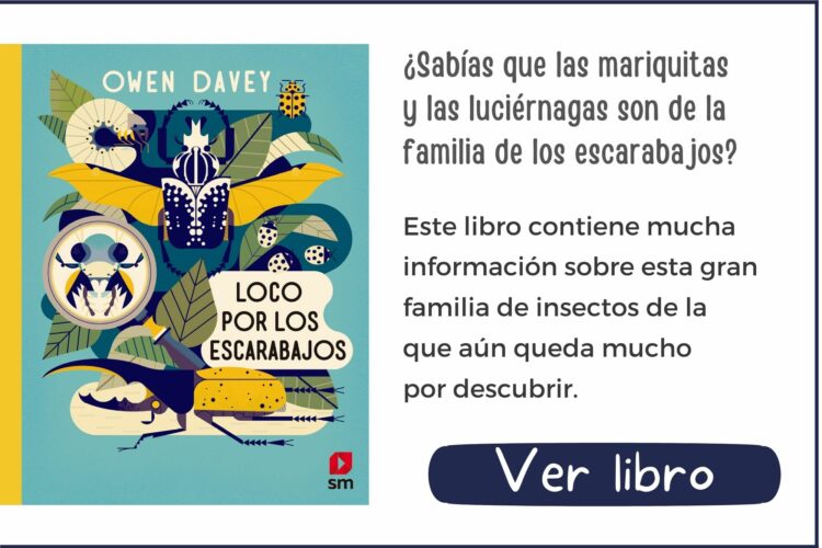 Loco por los escarabajos | A partir de 6 años | 40 páginas