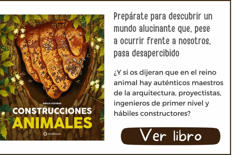 Construcciones animales | A partir de 8 años | 64 páginas
