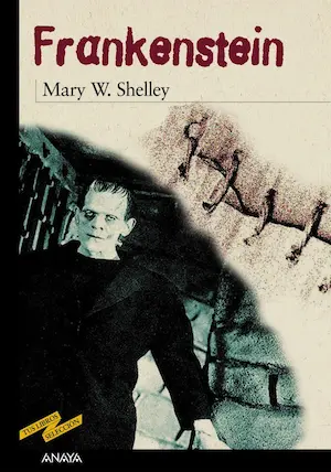 Libro juvenil Frankenstein Mary Shelley novela
