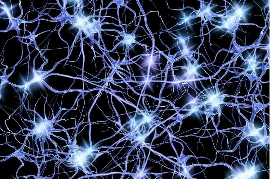 Representación de redes neuronales relacionadas con la consciencia humana