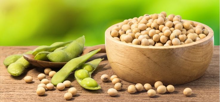 Qué es el tofu como preparar cocinar