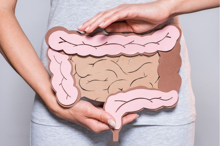 que son alimentos ultraprocesados ejemplos