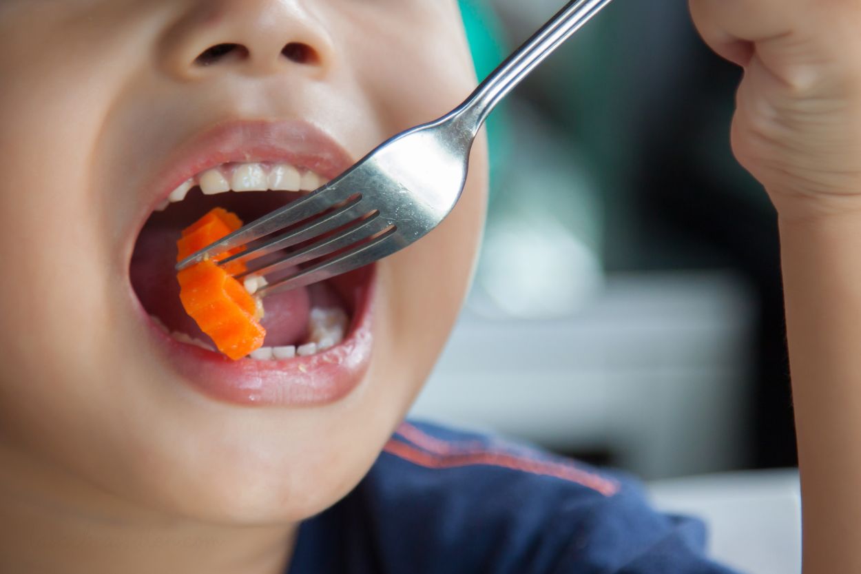 que indica la clasificación nova de los alimentos