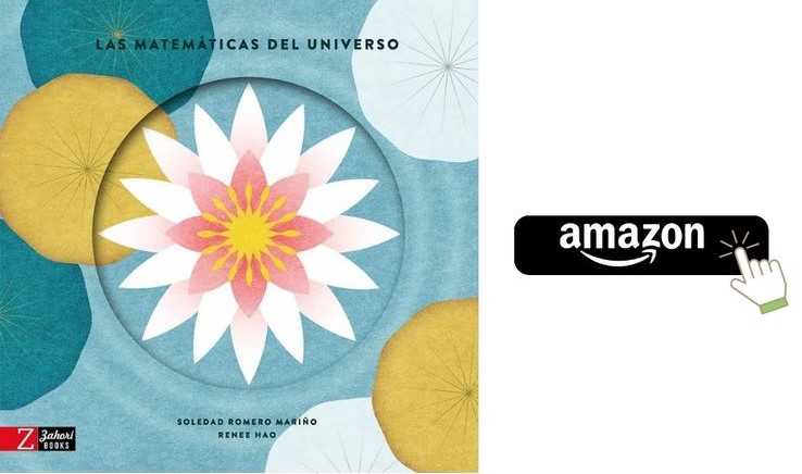 Cuadernos y libros de matemáticas
