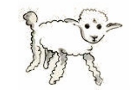 cordero principito dibujo ilustracion caja imaginacion