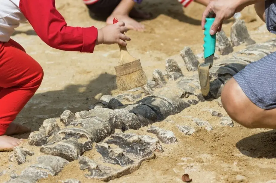 Niños descubriendo restos fósiles en una excavación