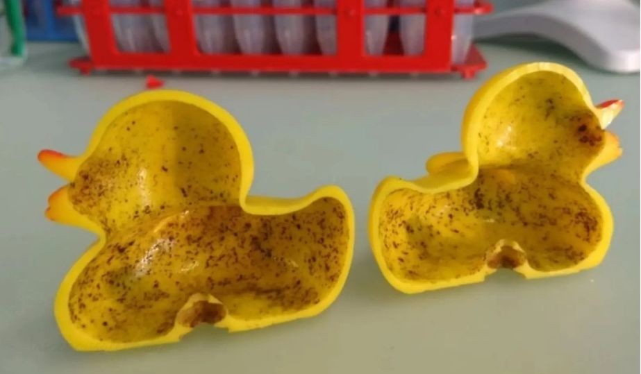 moho dentro de un juguete de baño con agujero