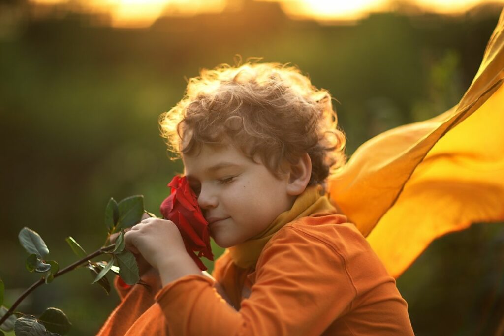 niño con rosa inspirado en el principito personajes significado