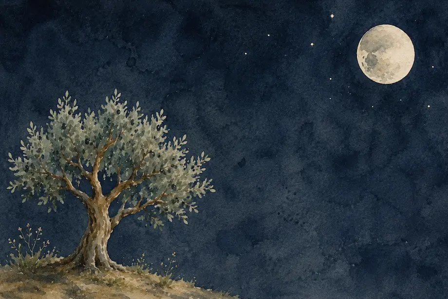 Ilustración en acuarela de un olivo bajo la luna inspirada en la poesía de Federico García Lorca