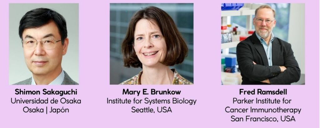 El Comité del Premio Nobel de Fisiología o Medicina de 2025 decidió reconocer el trabajo de Mary E. Brunkow, Fred Ramsdell y Shimon Sakaguchi sobre cómo las células T reguladoras evitan que el sistema inmunitario ataque al propio organismo.