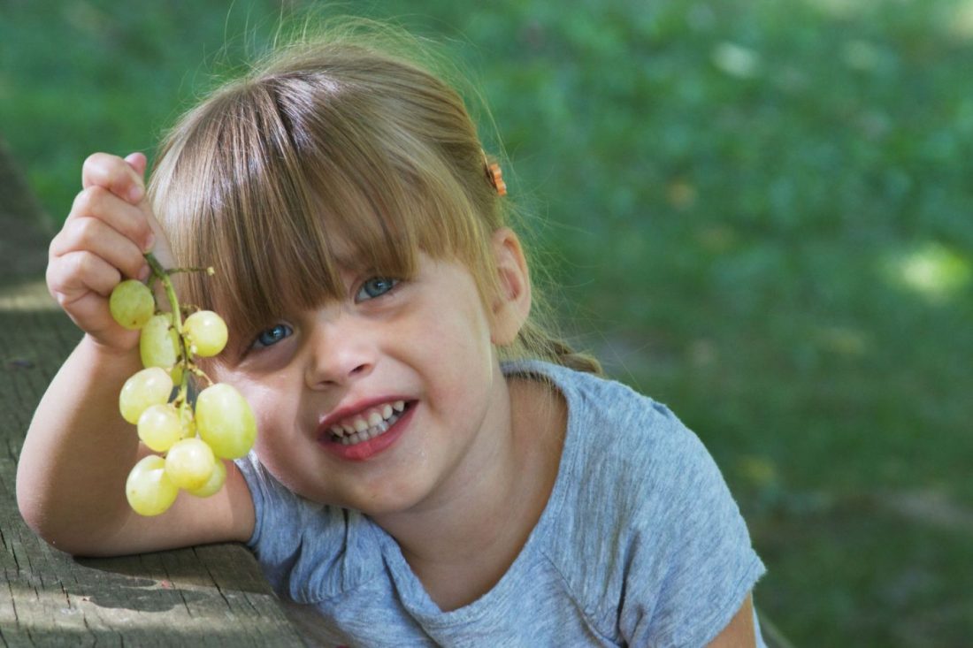 Dar uvas enteras a los niños es un peligro