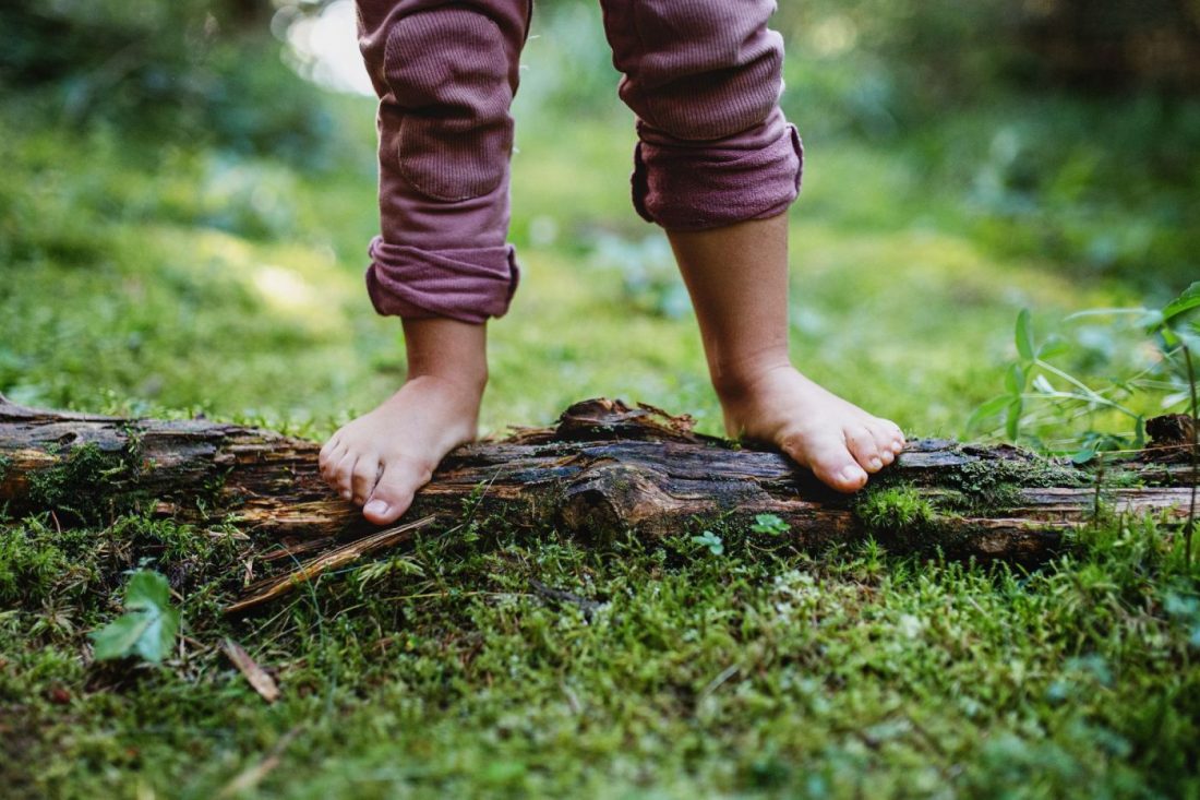 El contacto con la naturaleza