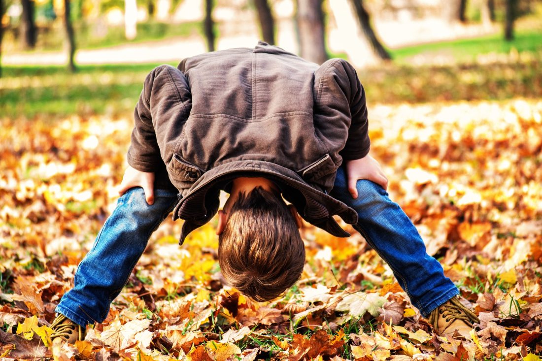 Otoño en el cerebro