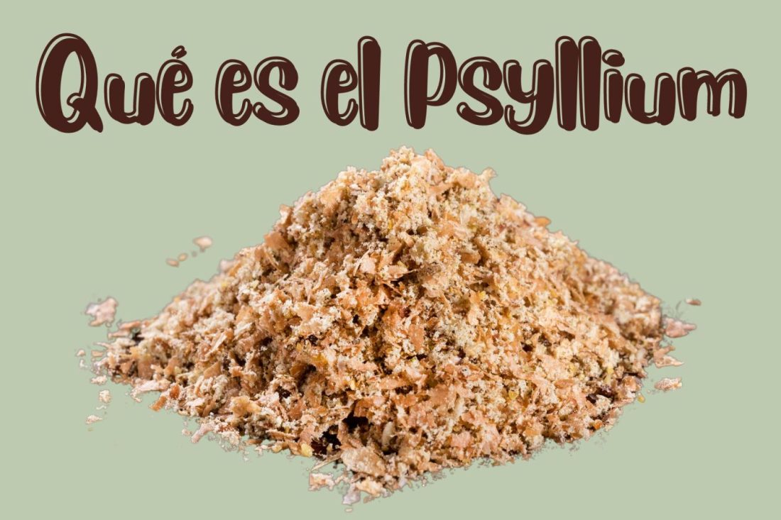 Psyllium  Qué es y para qué sirve