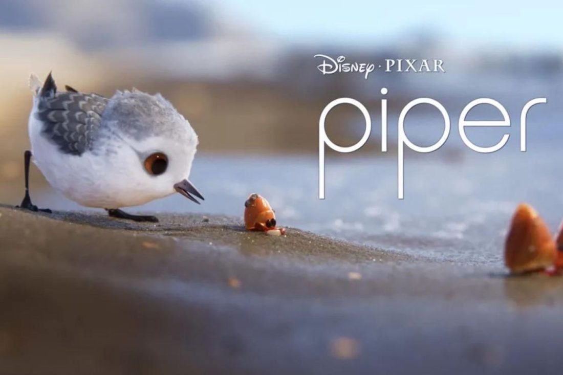 ‘Piper’, el corto más entrañable de Disney